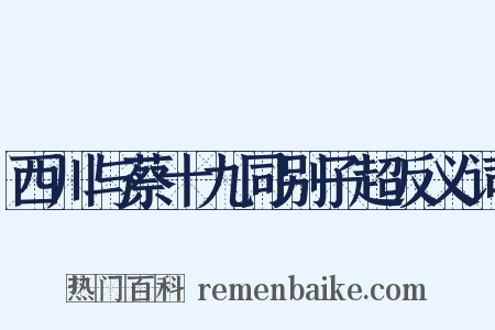 西川与蔡十九同别子超反义词是什么意思的图片